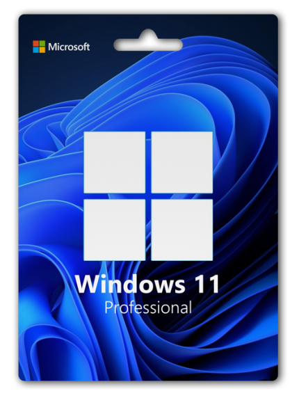 Windows 11 Professional